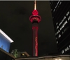 华裔豪赌输3300万纽币起诉SkyCity