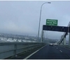 奥克兰海港大桥抗议