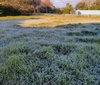 严寒即将缓解，湿润天气已在路上