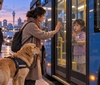 辅助犬被拒上巴士，4岁女童独留车内！奥克兰交通局道歉