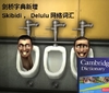 剑桥词典新增热词：“skibidi”“delulu”“tradwife”