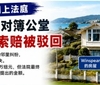 惠灵顿邻居对簿公堂，25万纽元索赔被法官驳回