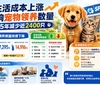 生活成本危机冲击宠物收养　SPCA领养数量五年减少近2400只