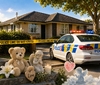 基督城1岁幼童遭狗袭击身亡， 警方确认无人被起诉，涉事犬只将被安乐死 ...